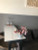 HWTB11032020C2