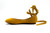  LCS004  Yellow