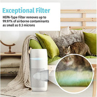 HoMedics® TotalClean® PetPlus Replacement True HEPA Filter, For Allergies, Pets, Smoke, and Dander with Activated Carbon Filter, Odor Eliminator and Air Freshener