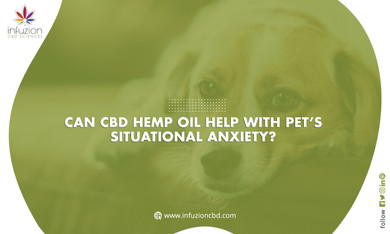 How to Cure Lymphoma in Pets Using Hemp Oil?