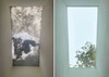 Solatube Premium Fixed Skylight, interior view showing exterior views through a skylight: partly cloudy sky and clear sky with trees.
