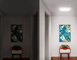Before & After: Dramatic Home Transformations with Solatube Daylighting Systems Before & After: Dramatic Home Transformations with Solatube Daylighting Systems