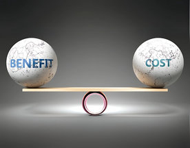 Increase Natural Light Without Breaking the Bank