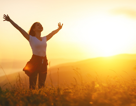 Unlock the Sun Naturally and Brighten Your Indoor Spaces