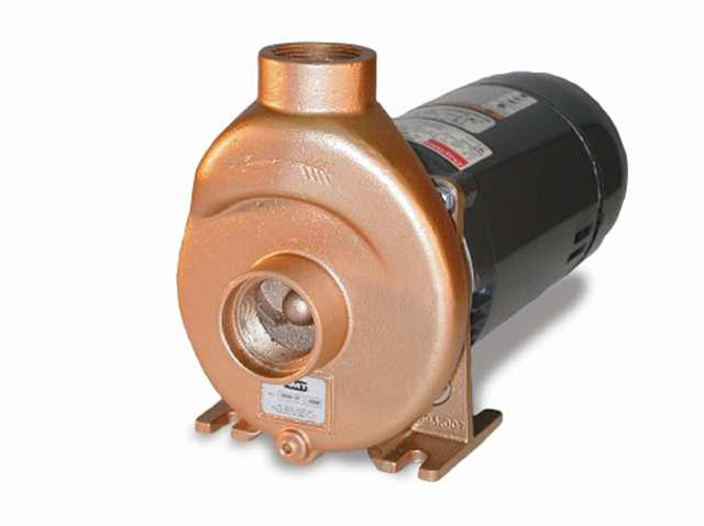 AMT 3891-98 Self-Priming Pump AMT 3891-98 Self-Priming Pump