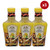 Ina Paarman Marinade Lemon & Coriander 500ml x 3 Units