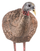 Avian-X LCD Breeder Hen Decoy