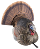 Avian-X LCD Strutter Decoy