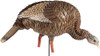 Avian X Hdr Feeding Hen Decoy -