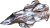 Mountain Mike's Snow Camo Deer - Skull Master Kit W/positioner