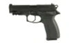 Bersa Tpr, Tpr9m 9mm 4.25" 17rd Mt