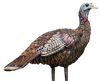 Avian-X LCD Lookout Hen Decoy