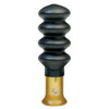 HSP SQUIRREL CALL