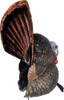 Flextone Thunder Creeper - Strutter Decoy W/ Folding Fan
