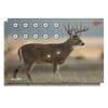 Allen Ez Aim, Allen 15286 Ezaim Paper 4 Color 25x35 Whitetail 2