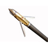 Arrow D Radian Grain 3pk