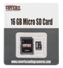 Covert Micro SD Card