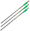 Allen Xd300, Allen 93230 Xd300 Crossbow Bolt 3pk 20"