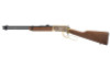 Rossi Riobravo 22lr 18" 15rd Wild Bi