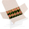 Igman 5.56X45MM, 62gr, Green Tip - 20 Rounds