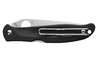 Spyderco , Spy C259pbk     Charisma Blk Lw