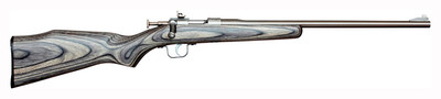 Chipmunk Rifle .22lr - Stainless/black Laminate