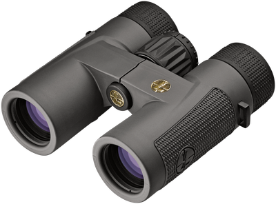 Leupold Bx-4, Leu 172660 Bino 10x32 Pro Guide Hd Gray