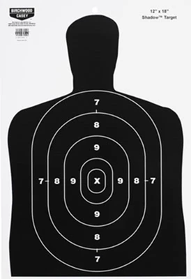 Birchwood Casey Eze-scorer, Bir 37202 Eze-scorer 12x18 Bc27 Target        10pk