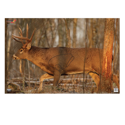 Birchwood Casey Eze-scorer, Bir 37481 Eze-scorer 23x35 Whitetail Deer      2pk