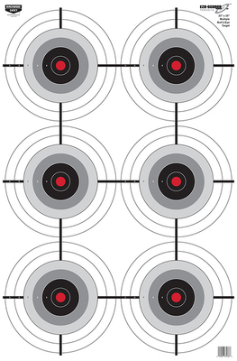 Birchwood Casey Eze-scorer, Bir 37038 Eze-scorer 23x35 Multiple Bullseye 100pk