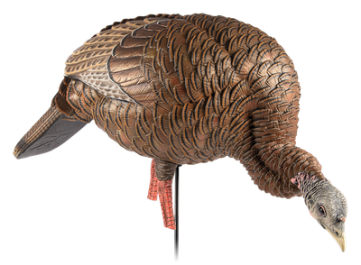 Avian-X HDR Feeding Hen Decoy