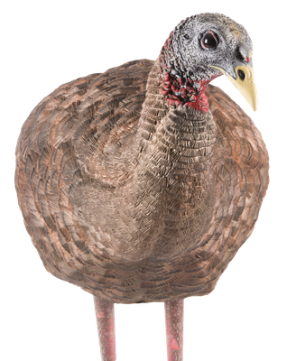 Avian-X LCD Breeder Hen Decoy
