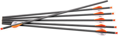 Centerpoint Xbow Arrow 20" - Cp400 Carbon 6pk