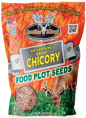 Antler King Chicory 1# Bag - Perennial 1/4 Acre