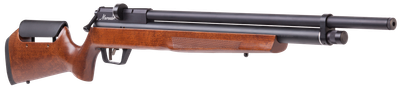 Benjamin Marauder, Ben Bp2264w   Marauder    Rfl   22 Hwd