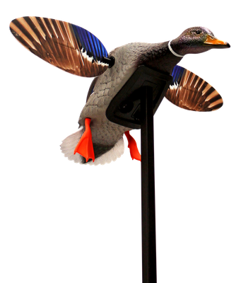 Mojo Elite Series, Mojo Hw2470 Mini Mallard Drake
