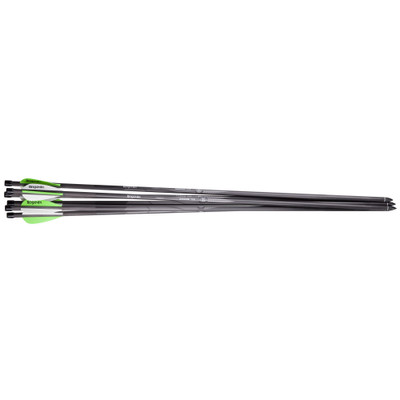 Benjamin Pioneer Airbow Arrows 6