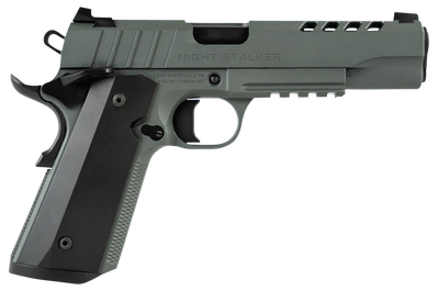 Tisas 1911 Night Stalker 45 ACP 5quot Barrel 8 Rounds Platinum Grey Cerakote Semi Auto Pistol