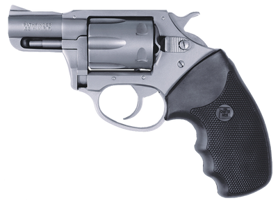 Charter Arms Pathfinder Cha 72224 22lr 2quot Ss