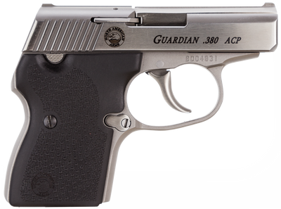 NAA 380GUARDIAN Guardian 380 ACP 250quot 61 Stainless Steel Black Rubber Grip DAO