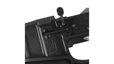 2A Builder Series Bolt Catch
