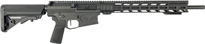 Cheytac Ct10 .308 18" 10rd - Match Chambering Black