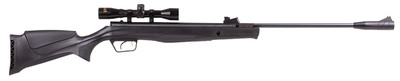 Beeman  Bee 1061622 .22 Air Rifle Combo W/ Synthetic Stck
