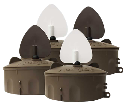 Mojo Flock A Flicker Hw2531  2