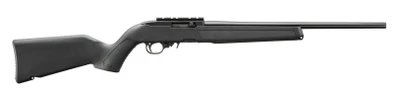 Ruger 10/22 .22 LR, 18.5" Barrel, Scope Rail, 10 rnd - Black [MPN:32033]