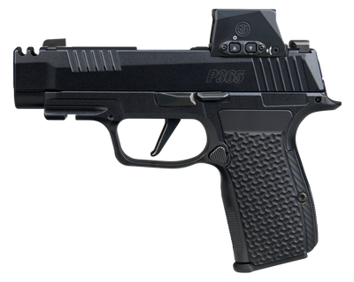 Sig Sauer P365AXG LUXE 380 ACP 31quot Barrel ROMEOX 12 rnd  Black MPN365AXG380COMPLUXERXSL