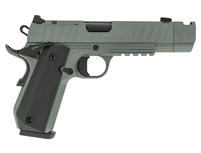 Tisas 1911 Night Stalker Comp 10MM 425quot Barrel Optic Ready 8 rnd  Platinum Grey MPN10100134