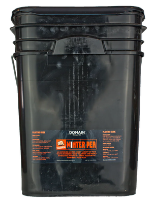 Allen/domain Outdoor  Domain Dwps1lb Winter Pea