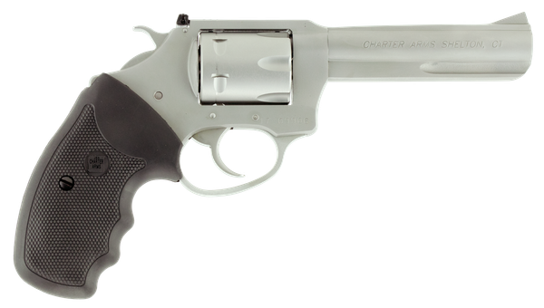 Charter Arms Pathfinder, Cha 72342 Pathfinder 22mag Ss 4.2in