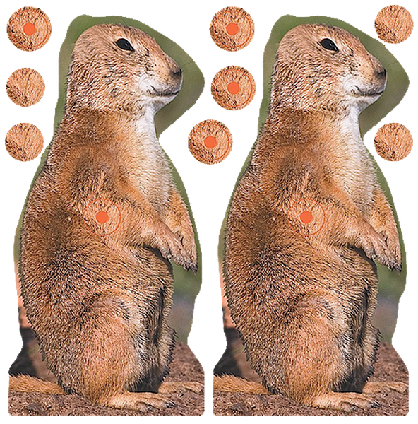 Birchwood Casey Shoot-n-c, Bir 34786 Shoot-n-c     Prairie Chuck         12pk